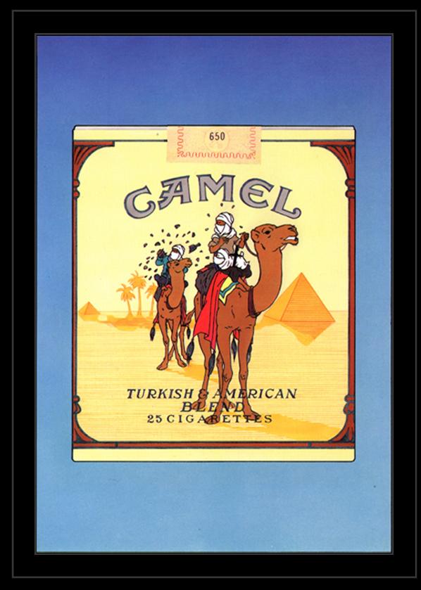 camel